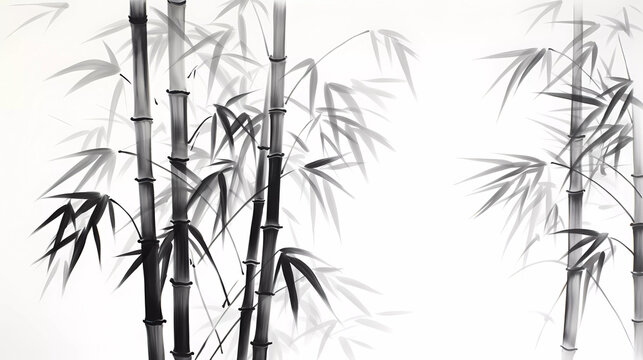 a black and white photo of bamboo trees with the sky in the background and a white background with a black and white photo of the bamboo tree