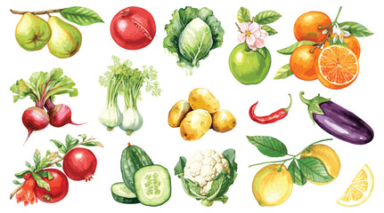 Watercolor painted collection of vegetables and fruits. Hand drawn fresh food design elements isolated on white background.