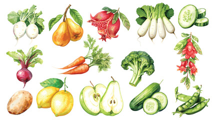 Watercolor painted collection of vegetables and fruits. Hand drawn fresh food design elements isolated on white background.