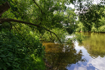 Beautiful wild summer Landscape around River Sazava from the central Czech 