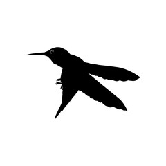 Fototapeta premium Flying Hummingbird Silhouette, can use Art Illustration, Website, Logo Gram, Pictogram or Graphic Design Element. Vector Illustration