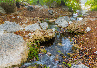 Naklejka na ściany i meble Misty Morning and Fall Color in The Smith Springs, Guadalupe Mountains National Park, Texas, USA