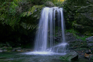 Fototapeta na wymiar Motion-blurred picture of Grotto Falls in Great Smoky Mountain National Park