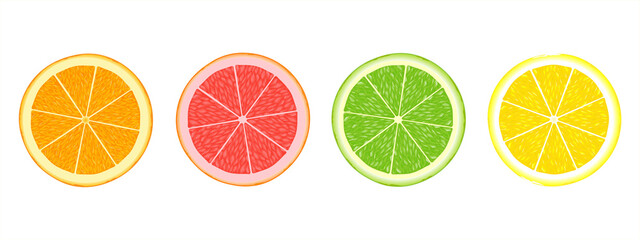 Fototapeta premium Citrus fruit slices of orange, grapefruit, lime and lemon isolated on white background