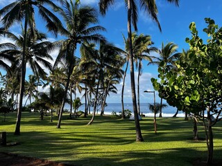 Grande Anse La Réunion