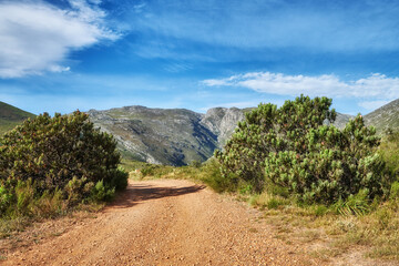 Fototapeta na wymiar Dirt road leading to mountains with lush green plants and bushes growing along the path with a blue sky background. Landscape view of quiet scenery in a beautiful nature reserve with copy space