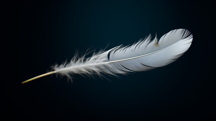 Obraz premium Ethereal White Feather Floating on a Tranquil Dark Blue Background