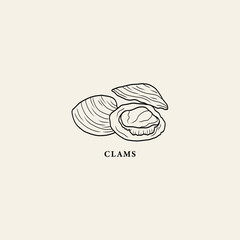 Line art clams illustration. Seafood drawing