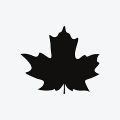 Simple Black Maple Leaf Silhouette. Autumn, Thanksgiving Leaves  Vector Illustration