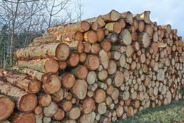 Wooden logs