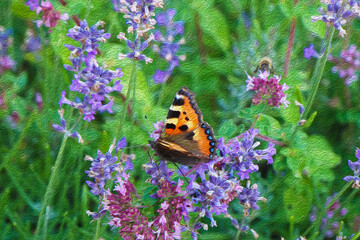 Small Tortoiseshell Aglais Urticae butterfly