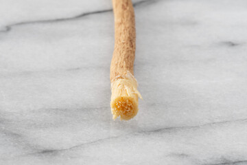Siwak or miswak stick, tree root for ecological tooth brushing