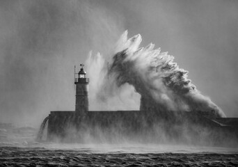 Newhaven Storm 'Sea Horse Wave'