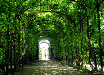arched arbor pathway in soft green, yellow and brown colors. gravel pathway in historical garden in Vienna, Austria in famous public park. diminishing perspective. metal frame support. climbing plants