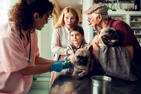 Family visits the vet with their dogs for a check up