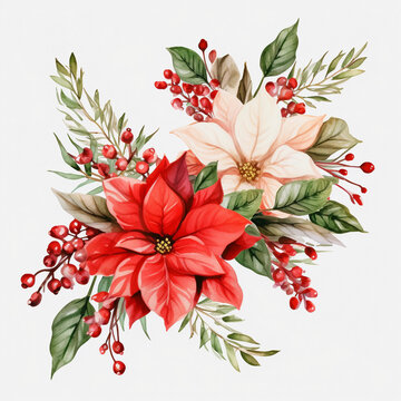 recommend clip art: Christmas poinsettia water color flowers clipart