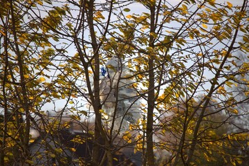 Obraz premium big water trash bottles on autumn tree