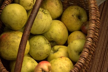 apples in a basket