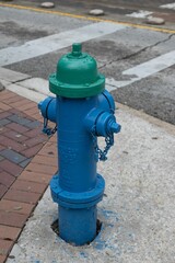 Fototapeta na wymiar blue and green fire hydrant at the corner of a street