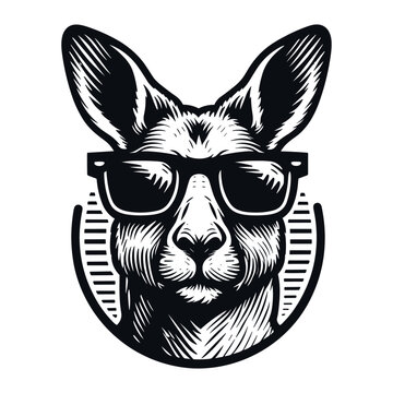 cool kangaroo wearing sunglasses sketch
