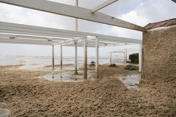Forte dei Marmi, Tuscany: storm Ciaran caused gigantic storm surges that damaged beach...