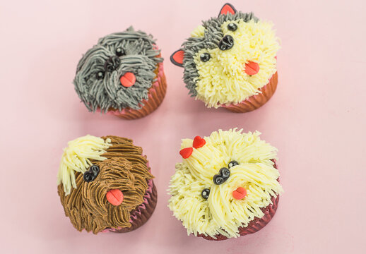 pastel tortas, cupcakes, chocolate, perros, mascotas, comida para perro, dulces, colores, cakes, cup, huellas, patitas, postres