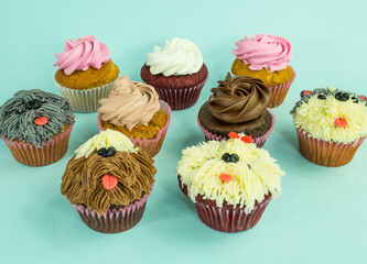 pastel tortas, cupcakes, chocolate, perros, mascotas, comida para perro, dulces, colores, cakes, cup, huellas, patitas, postres