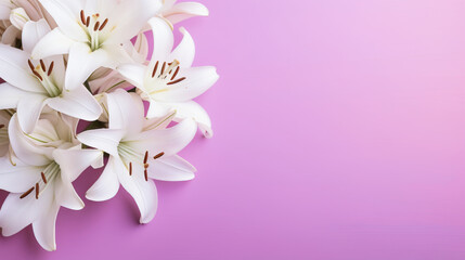  a bunch of white lilies on a purple and pink background.  generative ai