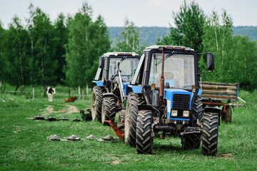 Blue tractor and cows on a summer farm field