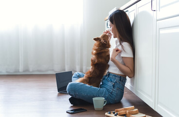 Portrait beautiful young Asian woman in casual clothes sitting on the floor play with adorable brown chihuahua dog while working in kitchen room at home. Enjoying free and Relax time. Friendly Concept