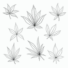 Fototapeta premium Simplicity cannabis leaf freehand drawing.