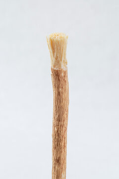 Siwak or miswak stick, tree root for ecological tooth brushing