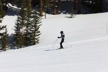 skiing in the mountains