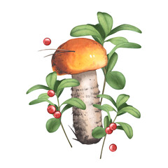 Edible mushroom with wild berries. porcini and cranberry. Watercolor illustration on a forest theme. Natural ingredients. Autumn season. For design of cards, posters