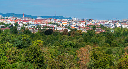 View of the city from a height above the forest.