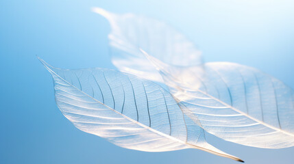 Fototapeta na wymiar a close up of a white leaf on a blue background. generative ai