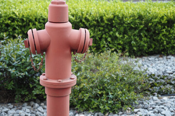 red fire hydrant in the garden