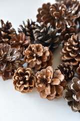 A Cluster of Pine Cones Close-Up