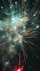 Fireworks on the night sky background