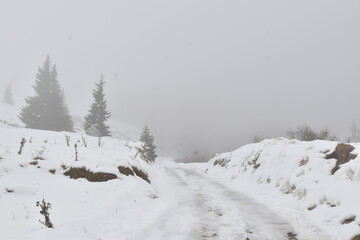 Snowy Road through Misty Forest