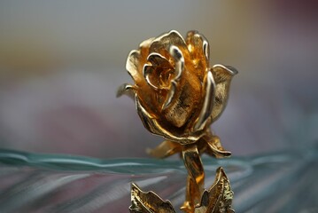 Closeup of a golden rose brooch