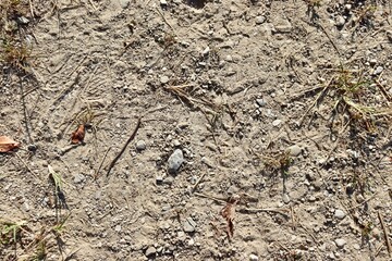 A close view of the hard dry ground surface.