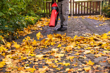 Laub im Herbst mit Laubbläser beseitigen