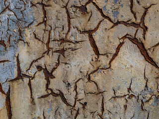 old texture
