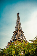 La tour Eiffel à Paris sur fond de ciel bleu et avec des arbres au 1er plan
