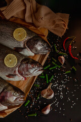 Raw fish trout on board on black background with spices