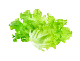 fresh green lettuce leaves transparent png