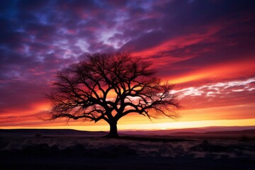 Fototapeta na wymiar Silhouette of tree with sunset over trees and beautiful sky. 