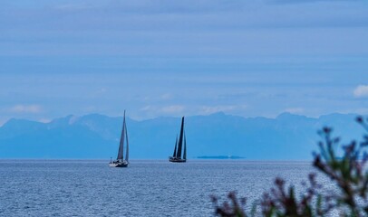 Fototapeta premium Sailboats float in the middle of a serene sea against a clear blue sky