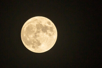 Obraz premium full moon in the night sky